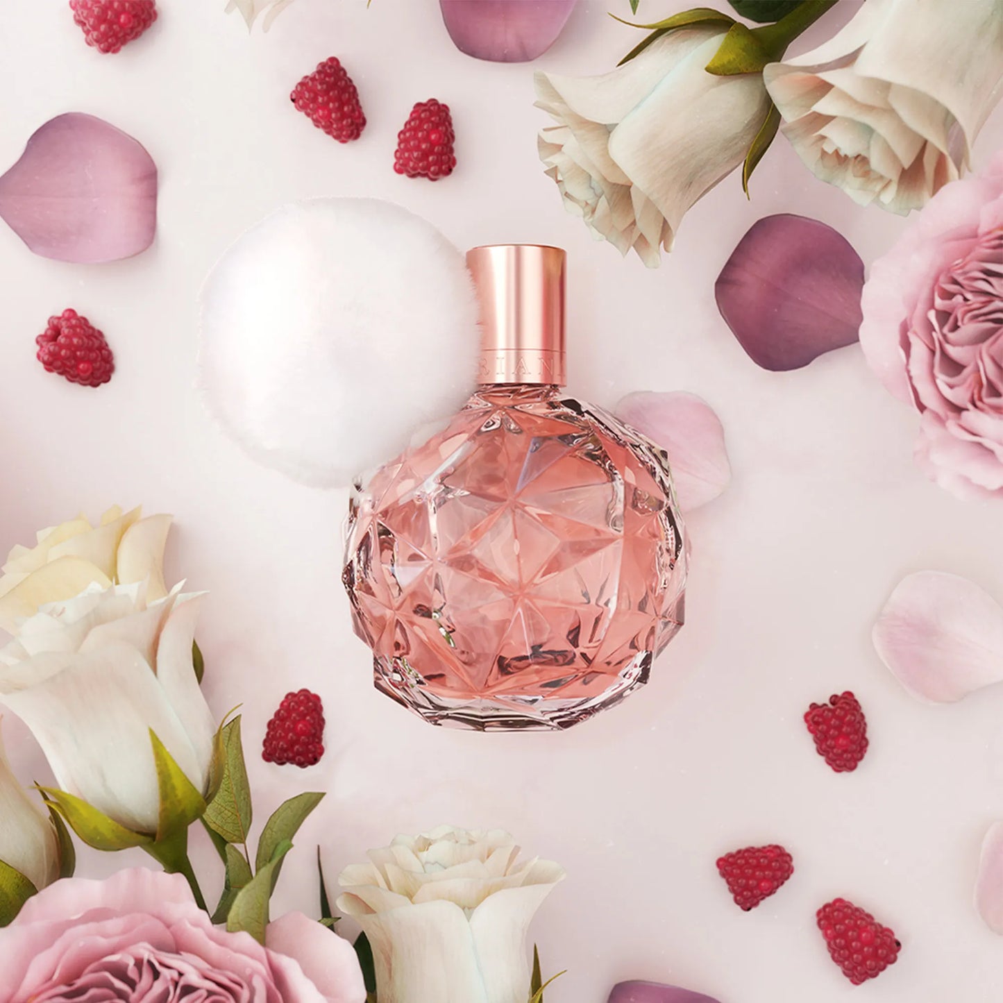 ARIANA GRANDE ARI DAMA