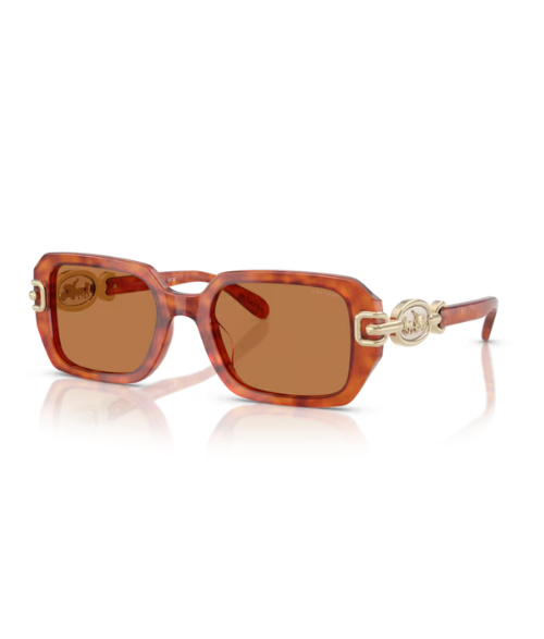 GAFAS COACH HC8425U Carey caramelo DAMA