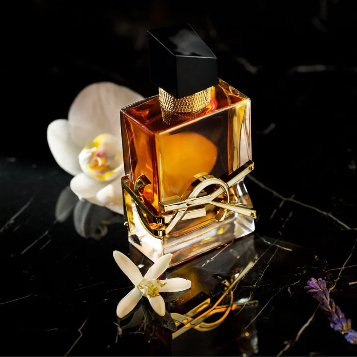 YVES SAINT LAUREN LIBRE LE PARFUM