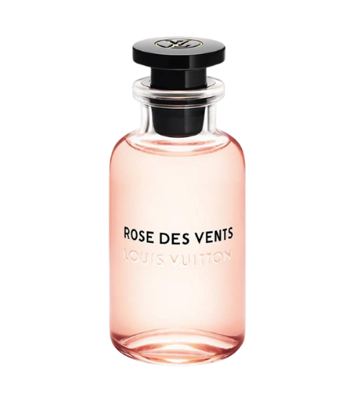 LOUIS VUITTON ATTRAPE REVES DAMA