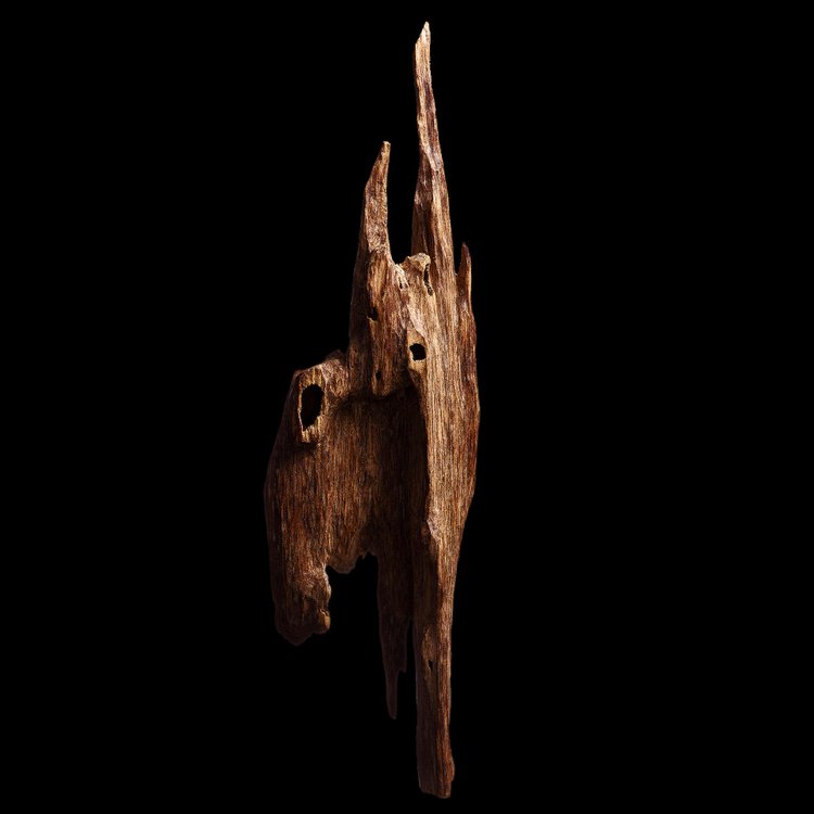 LOMANI BLACK STORM UNISEX