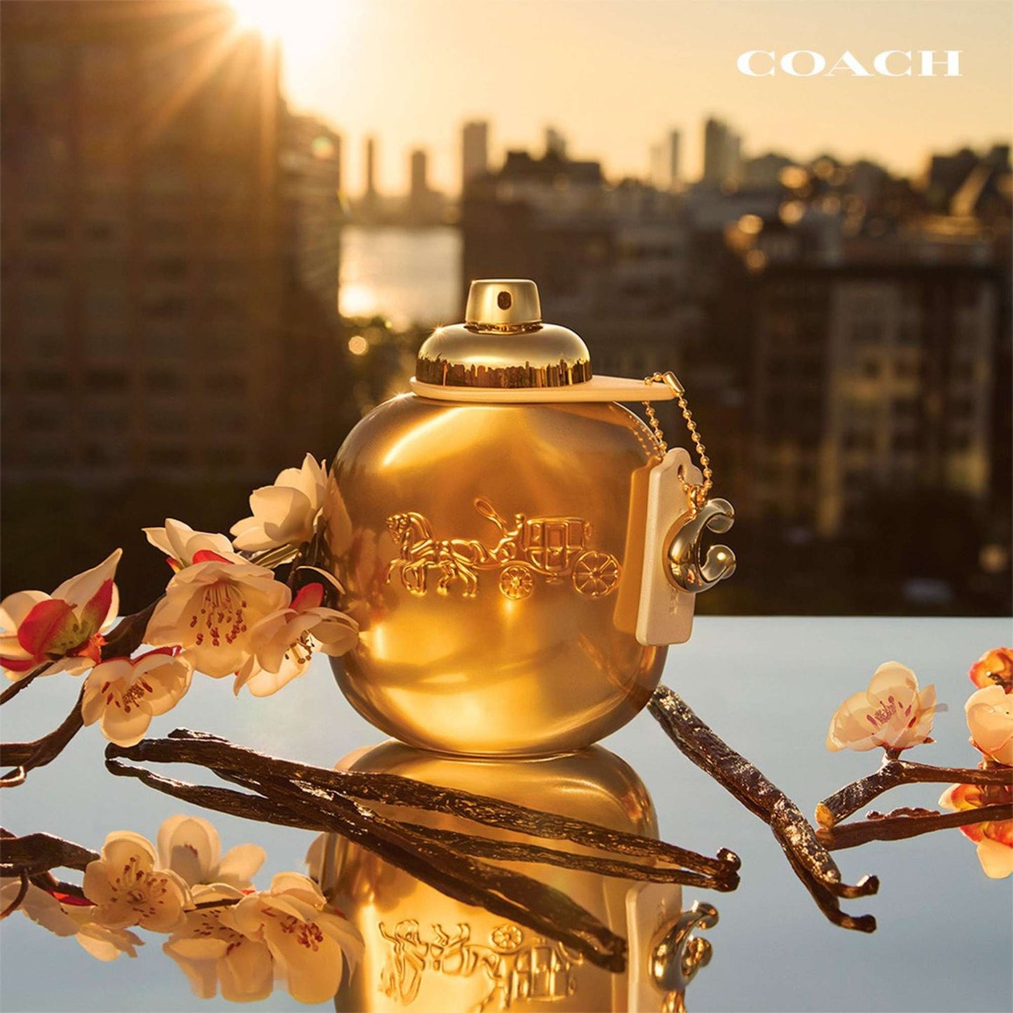 COACH GOLD DAMA