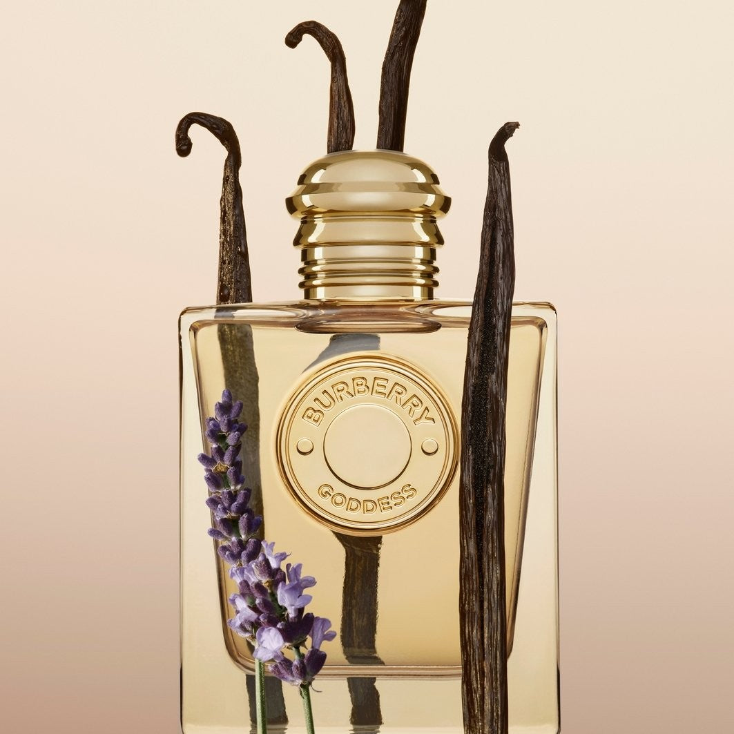 SET BURBERRY GODDES DAMA