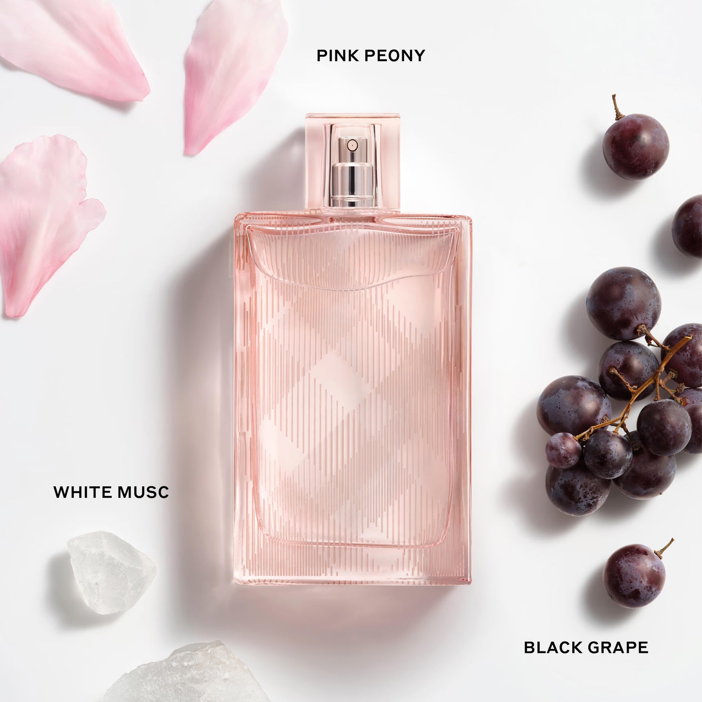BURBEERRY BRITT SHEER DAMA