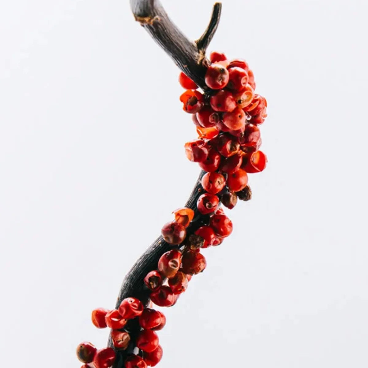 LOEWE 7 EDT 100ML HOMBRE