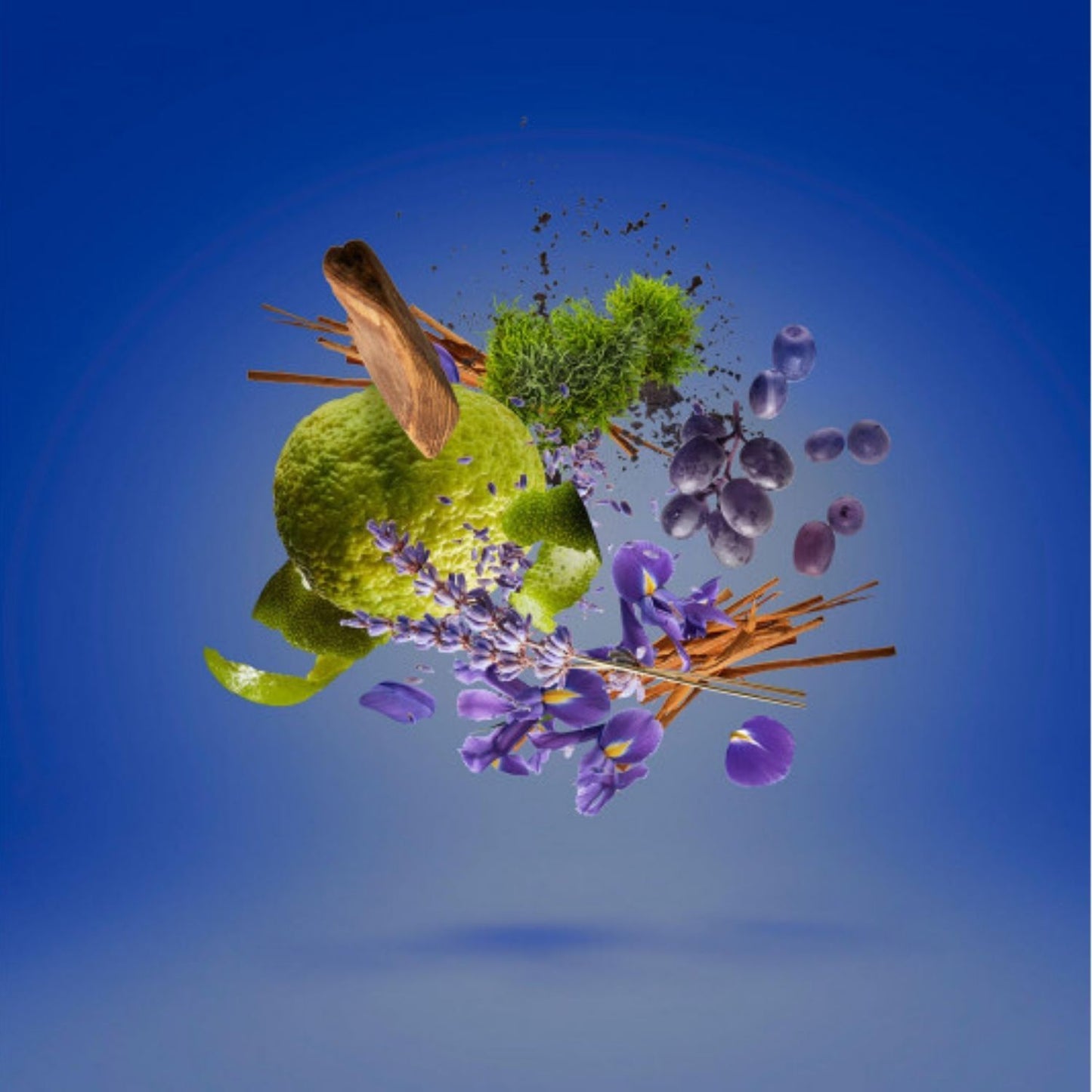 CASAMORATI MEFISTO HOMBRE