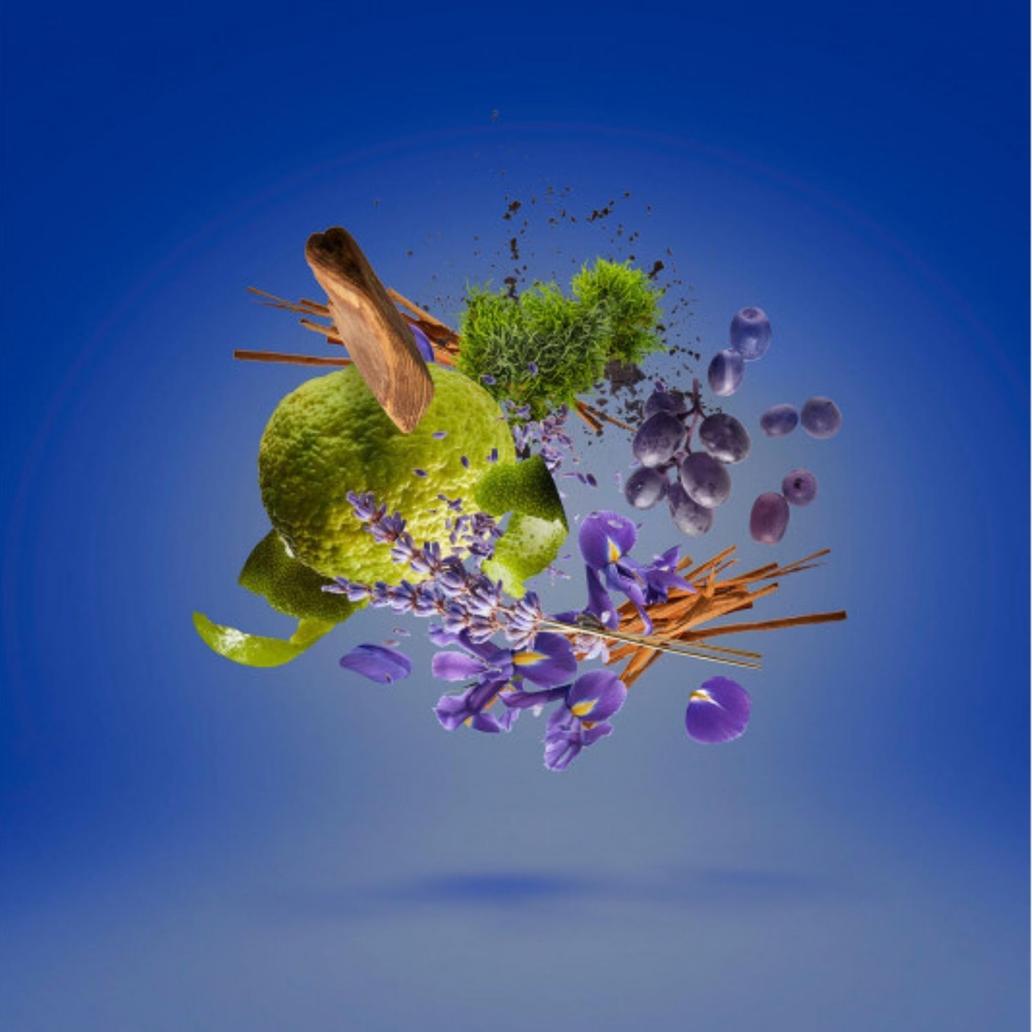 CASAMORATI MEFISTO HOMBRE