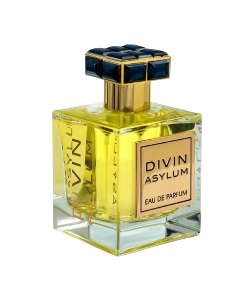 FRENCH AVENUE DIVIN ASYLUM HOMBRE