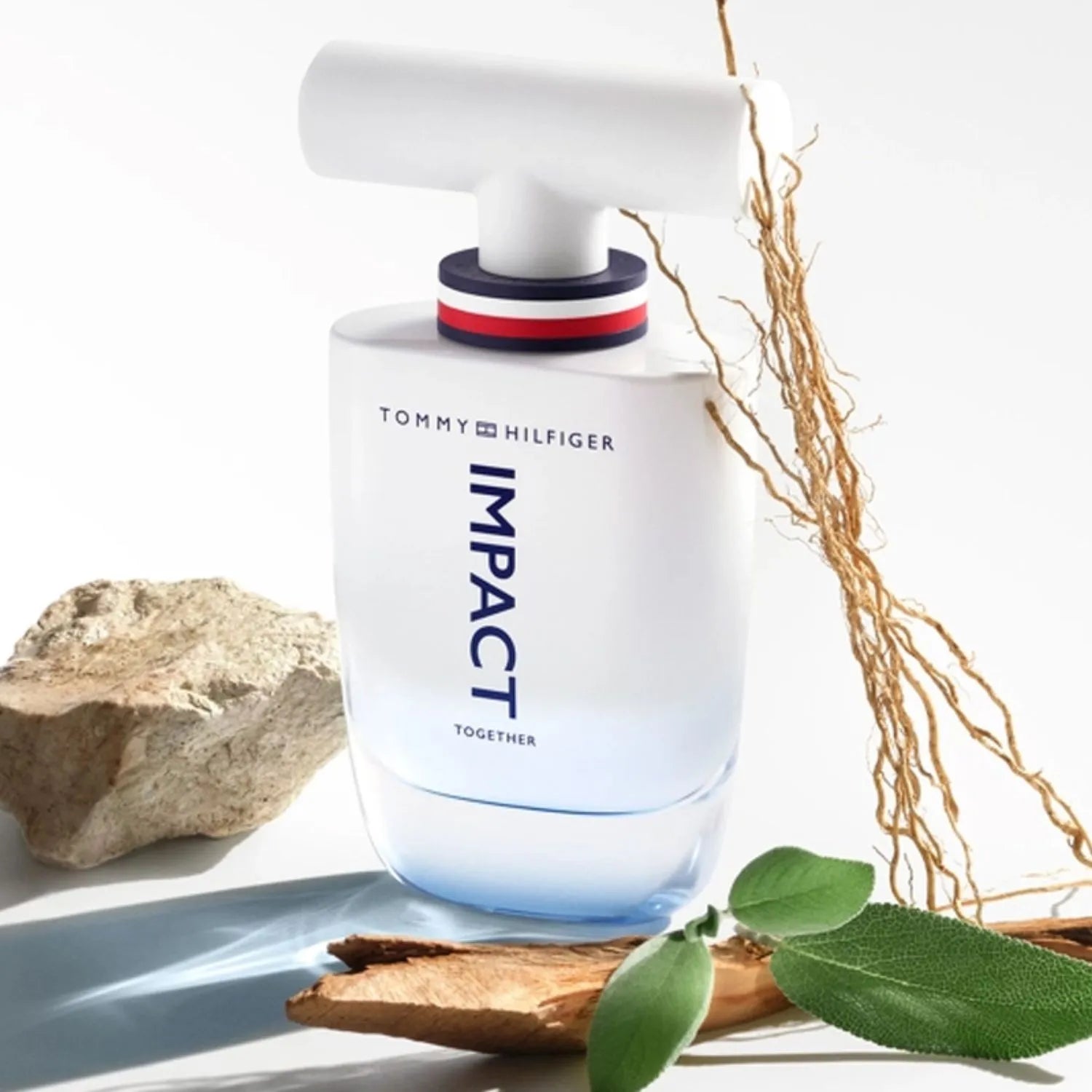 TOMMY HILFIGER IMPACT TOGETHER HOMBRE