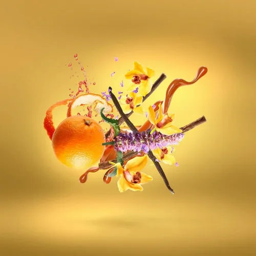 CASAMORATI LIRA DAMA