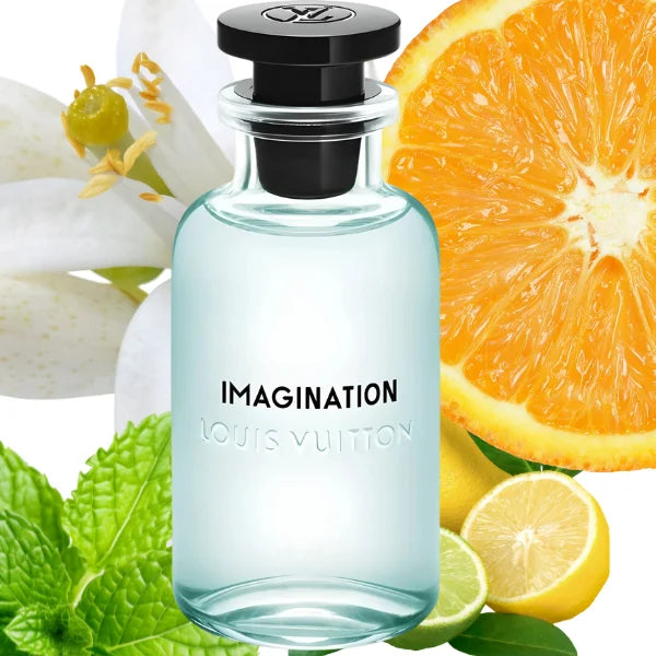 LOUIS VUITTON IMAGINATION HOMBRE