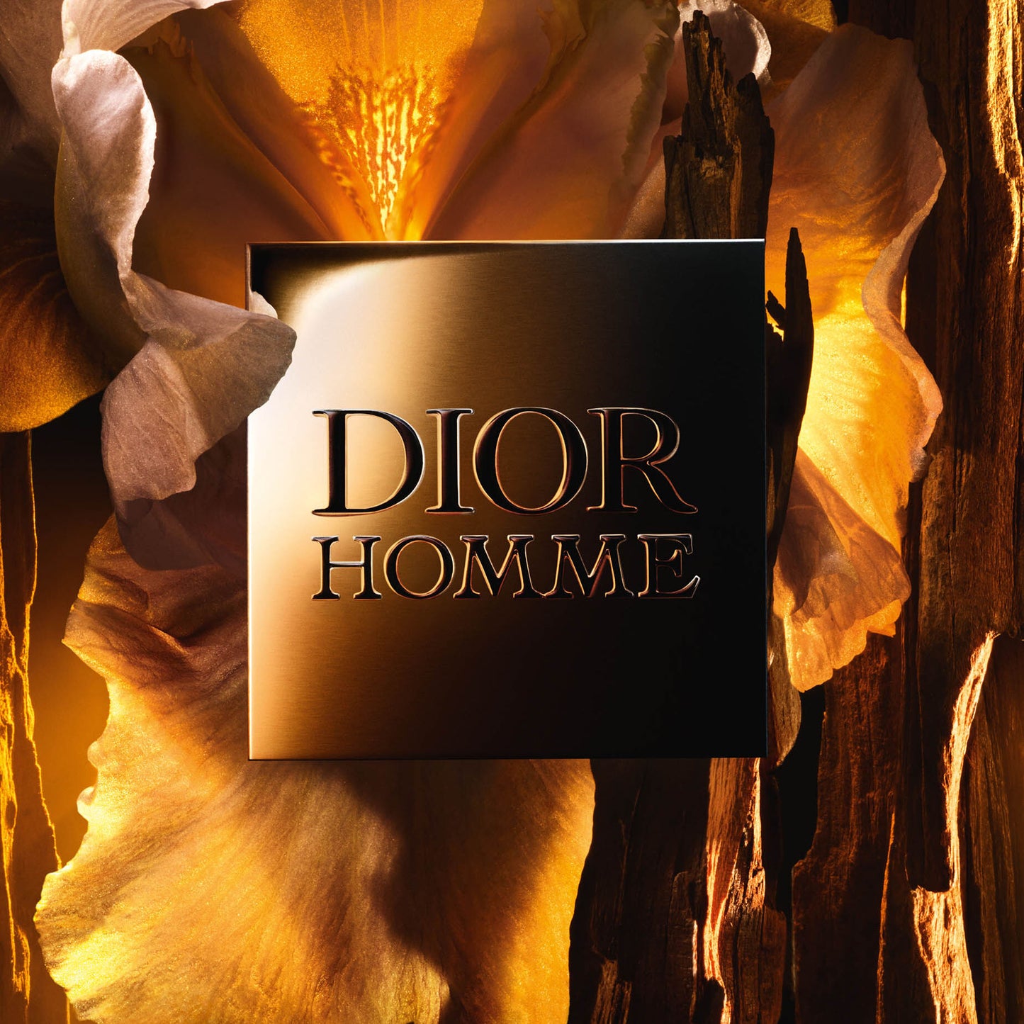 DIOR HOMME PARFUM HOMBRE