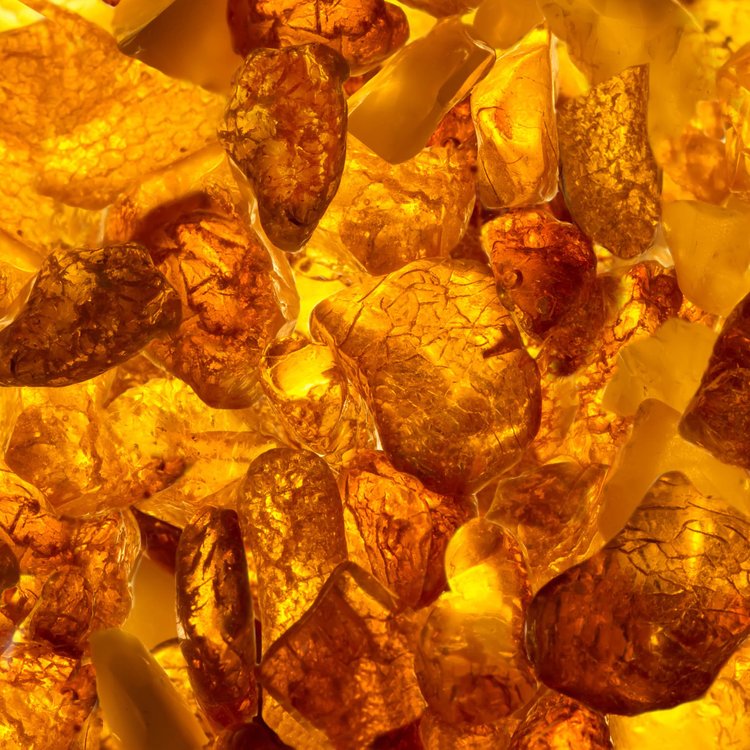 TIZIANA TERENZI TYRENUM UNISEX