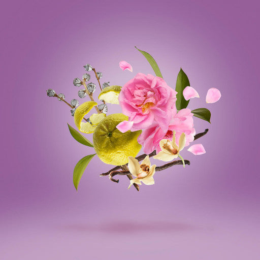 CASAMORATI LA TOSCA DAMA