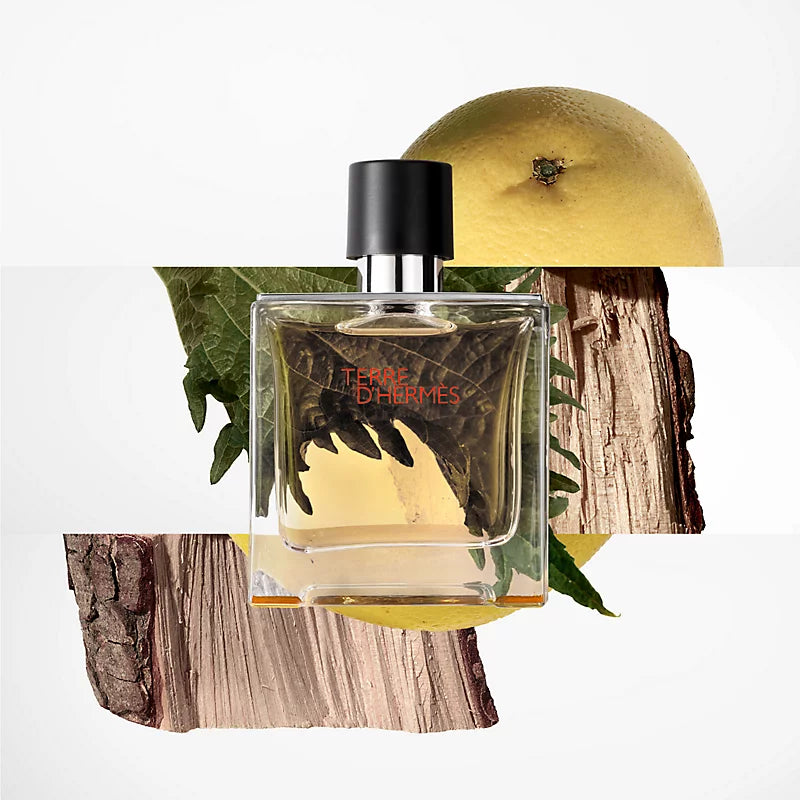 HERMÈS THERRE D'HERMÈS EDT HOMBRE