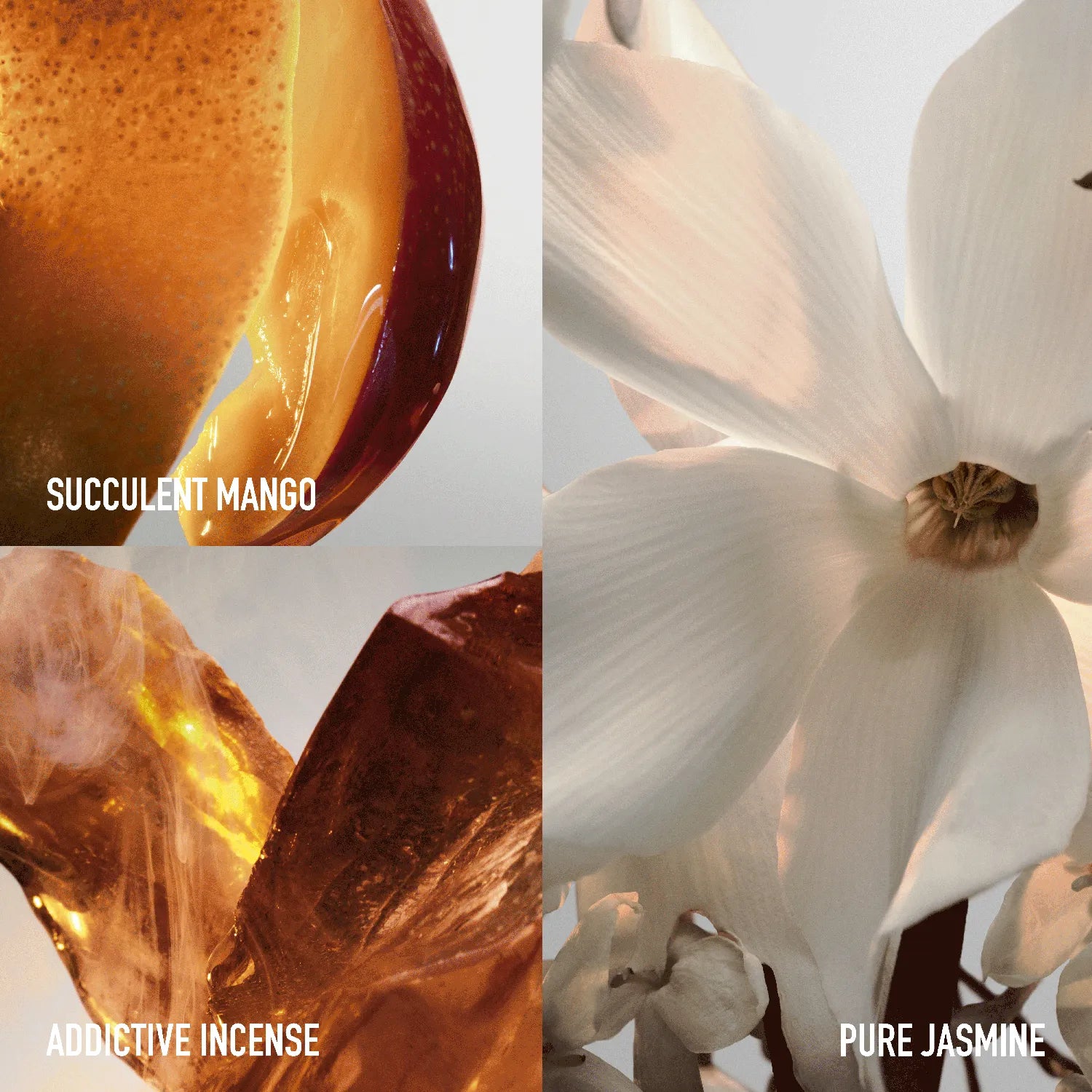 PACO RABANNE FAME FELINE DAMA